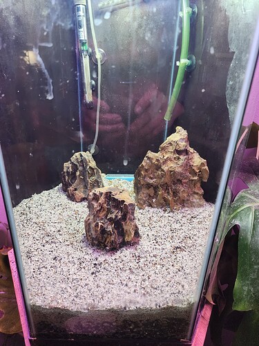 20251201_151609_resized